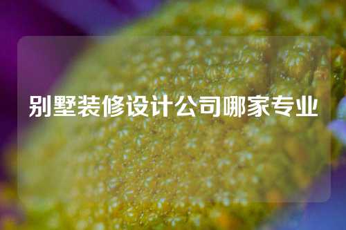 别墅装修设计公司哪家专业