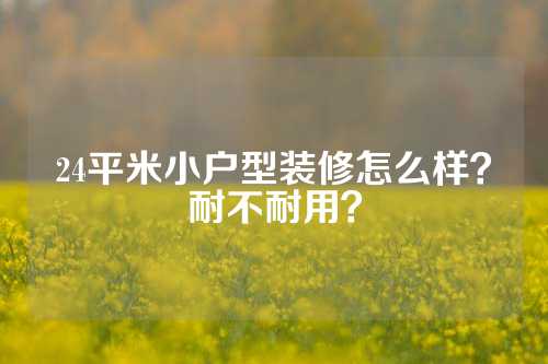 24平米小户型装修怎么样？耐不耐用？