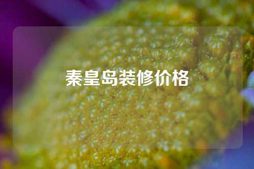 秦皇岛装修价格