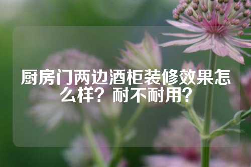 厨房门两边酒柜装修效果怎么样？耐不耐用？