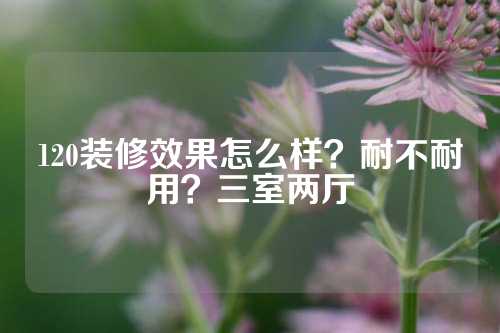 120装修效果怎么样？耐不耐用？三室两厅