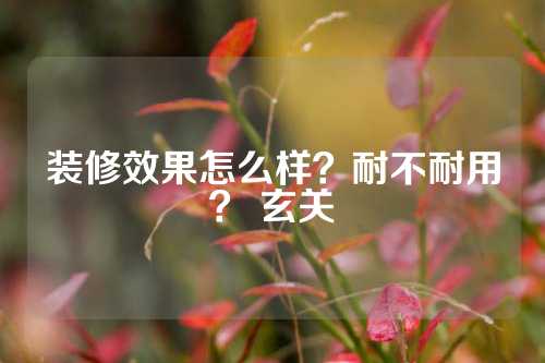 装修效果怎么样？耐不耐用？ 玄关