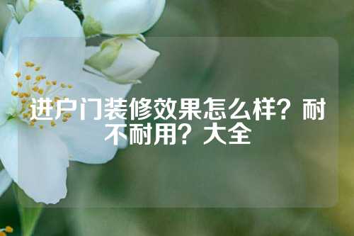 进户门装修效果怎么样？耐不耐用？大全