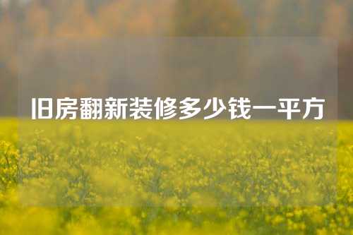 旧房翻新装修多少钱一平方