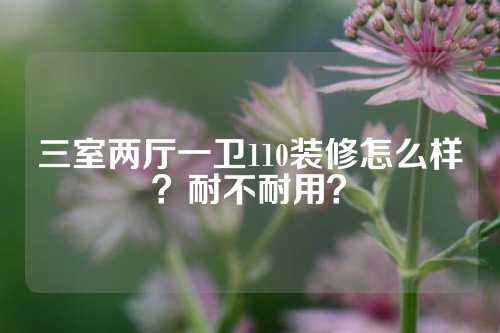 三室两厅一卫110装修怎么样？耐不耐用？