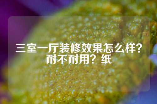 三室一厅装修效果怎么样？耐不耐用？纸