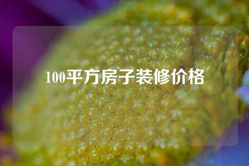 100平方房子装修价格