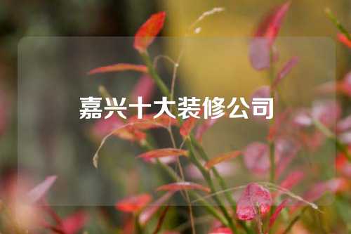 嘉兴十大装修公司