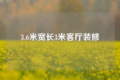 3.6米宽长3米客厅装修