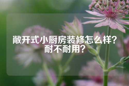 敞开式小厨房装修怎么样？耐不耐用？