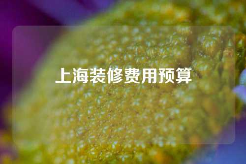 上海装修费用预算