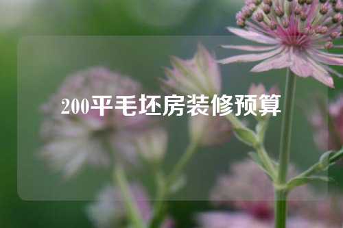 200平毛坯房装修预算