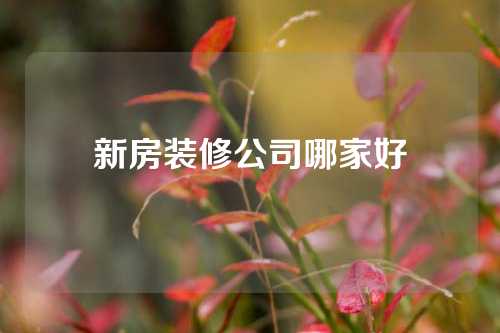 新房装修公司哪家好