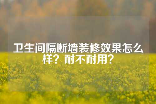 卫生间隔断墙装修效果怎么样？耐不耐用？