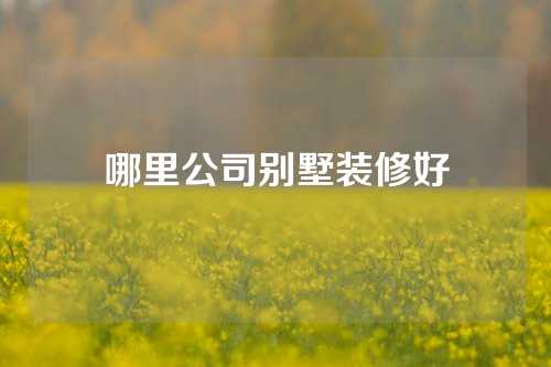 哪里公司别墅装修好