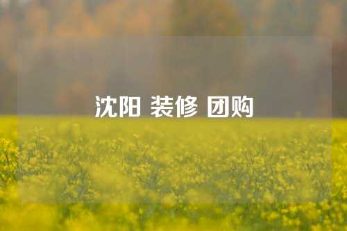 沈阳 装修 团购