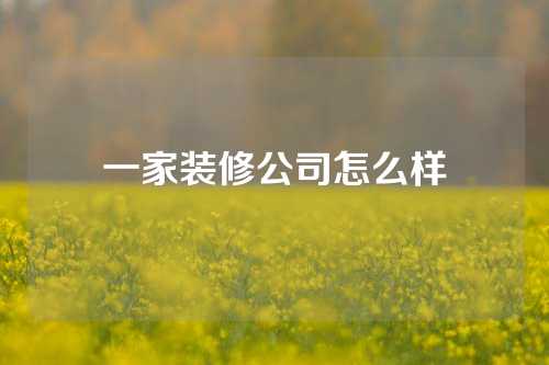 一家装修公司怎么样