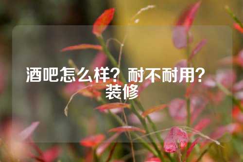 酒吧怎么样？耐不耐用？ 装修