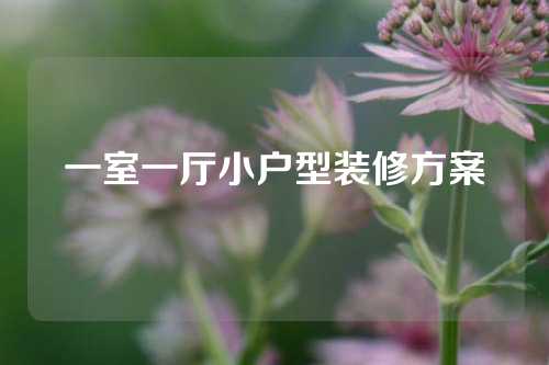 一室一厅小户型装修方案