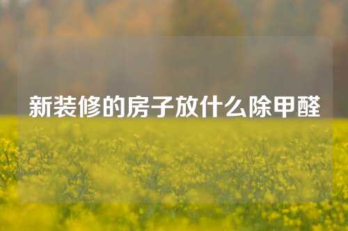 新装修的房子放什么除甲醛