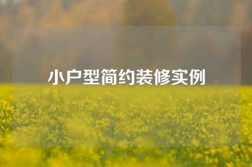 小户型简约装修实例