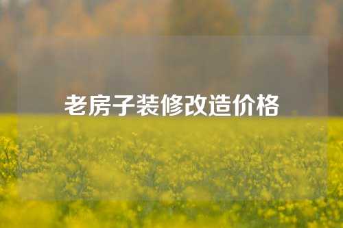 老房子装修改造价格