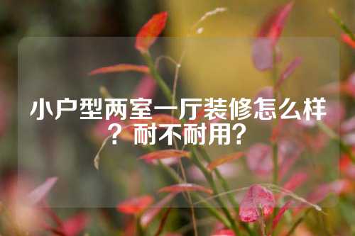 小户型两室一厅装修怎么样？耐不耐用？