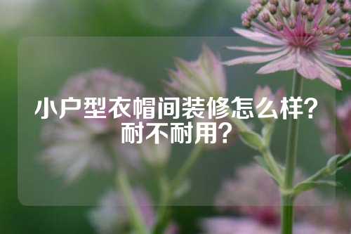 小户型衣帽间装修怎么样？耐不耐用？