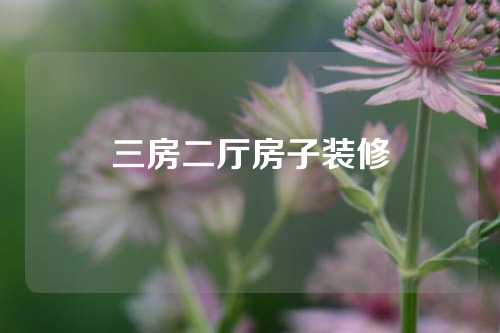 三房二厅房子装修