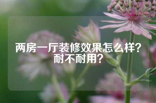 两房一厅装修效果怎么样？耐不耐用？