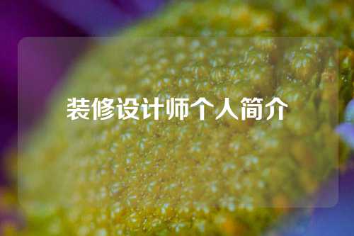 装修设计师个人简介