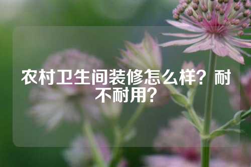 农村卫生间装修怎么样？耐不耐用？