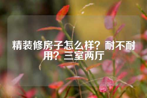 精装修房子怎么样？耐不耐用？三室两厅