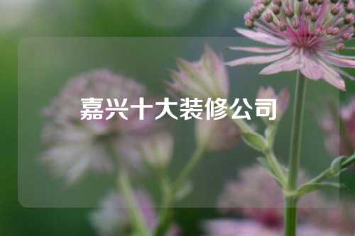 嘉兴十大装修公司