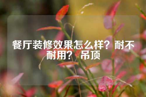 餐厅装修效果怎么样？耐不耐用？ 吊顶