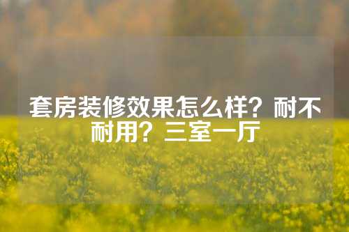 套房装修效果怎么样？耐不耐用？三室一厅