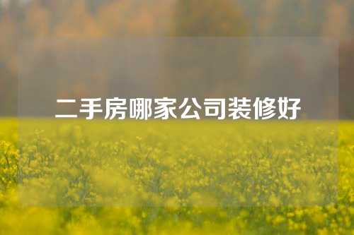 二手房哪家公司装修好