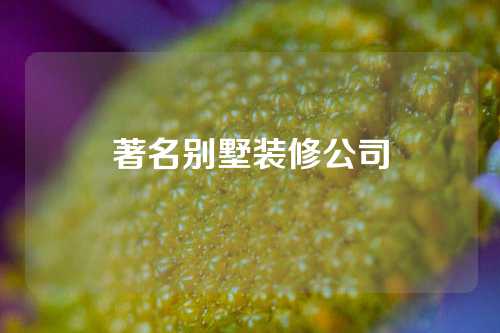 著名别墅装修公司