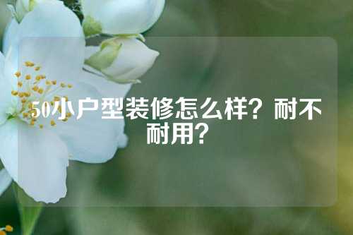 50小户型装修怎么样？耐不耐用？