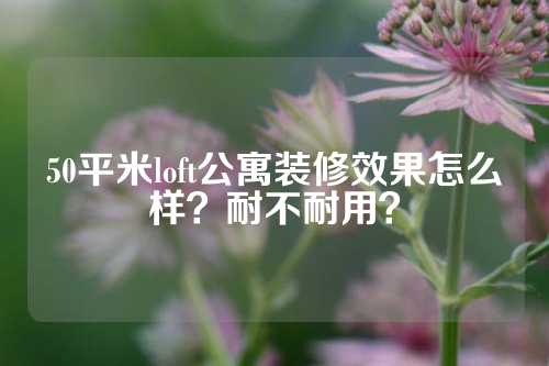 50平米loft公寓装修效果怎么样？耐不耐用？