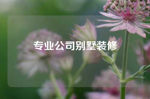 专业公司别墅装修