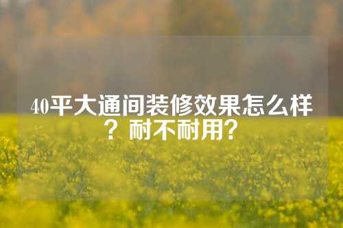 40平大通间装修效果怎么样？耐不耐用？