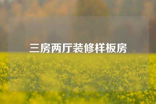 三房两厅装修样板房