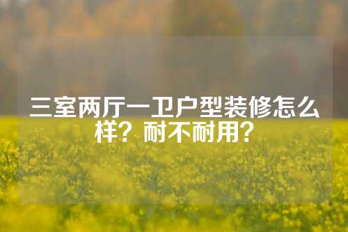 三室两厅一卫户型装修怎么样？耐不耐用？