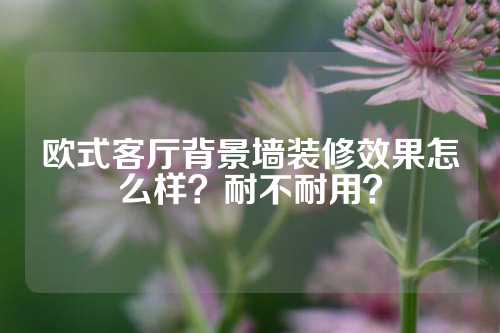 欧式客厅背景墙装修效果怎么样？耐不耐用？