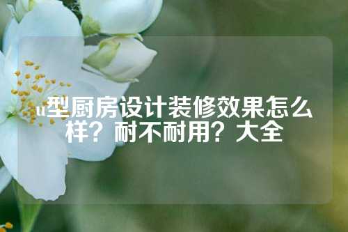 u型厨房设计装修效果怎么样？耐不耐用？大全