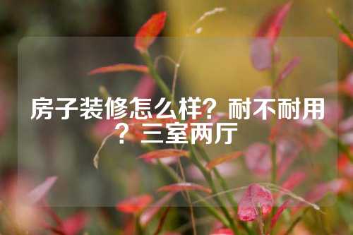 房子装修怎么样？耐不耐用？三室两厅