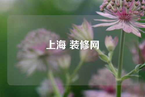 上海 装修网