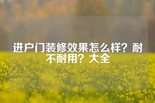 进户门装修效果怎么样？耐不耐用？大全