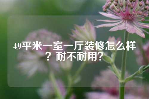 49平米一室一厅装修怎么样？耐不耐用？